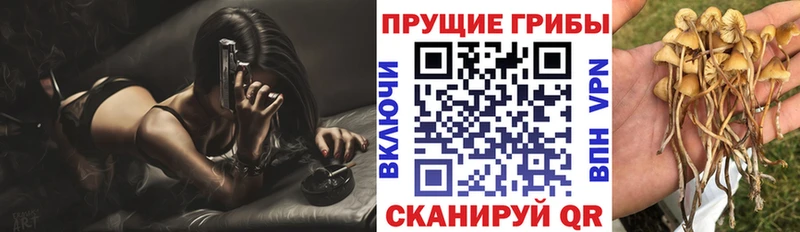 Псилоцибиновые грибы ЛСД Купить где Болгар
